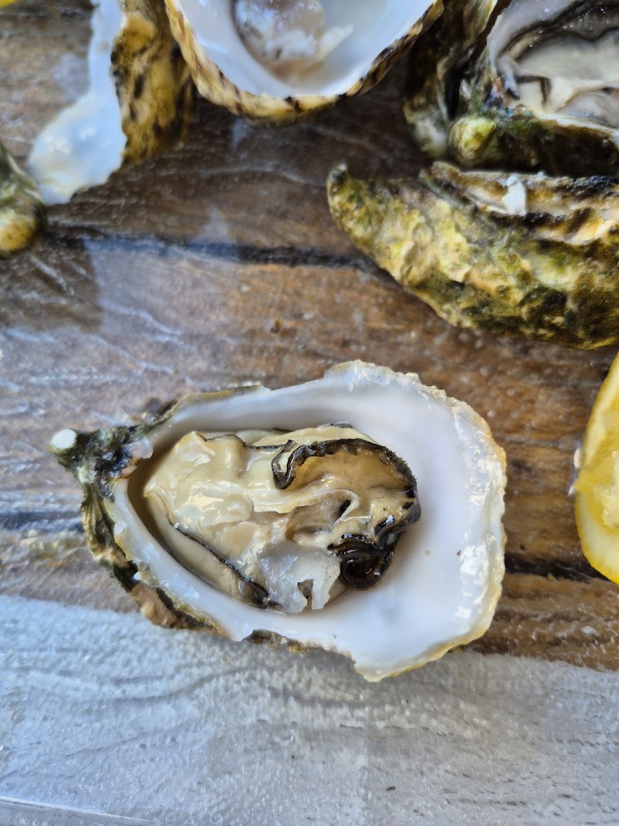 La Cabane Du Grouin Photos 2